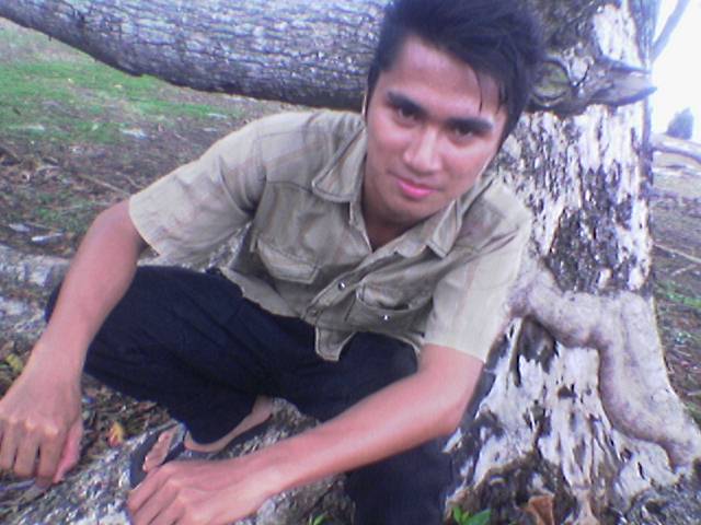 DEDY.PDLLH